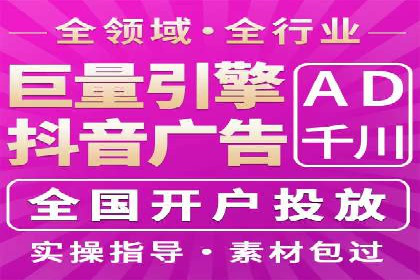 网络推广与竞价策略实战案例
